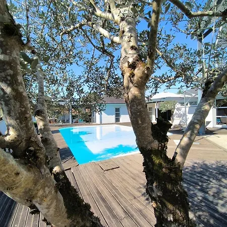 Grande Maison 6 Personnes Clim Jardin Morlaas